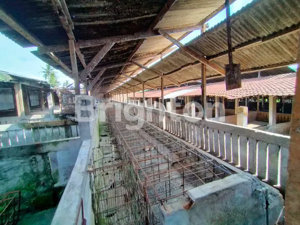 image TANAH EX PETERNAKAN DI KEPANJEN MALANG (1)