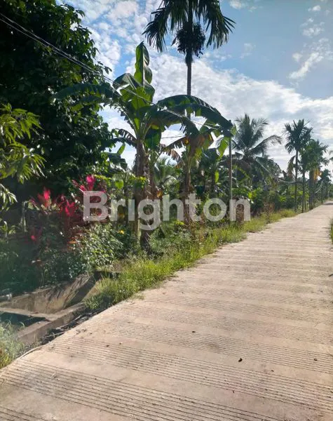 TANAH LUAS DAN DATAR