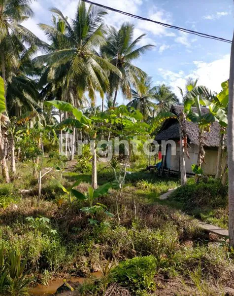 image TANAH LUAS DAN DATAR (6)