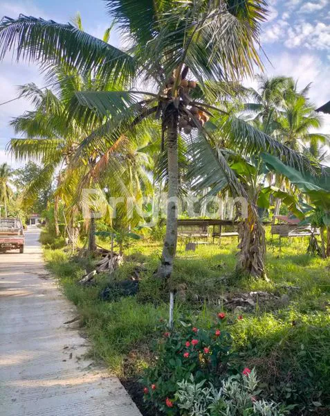 image TANAH LUAS DAN DATAR (3)