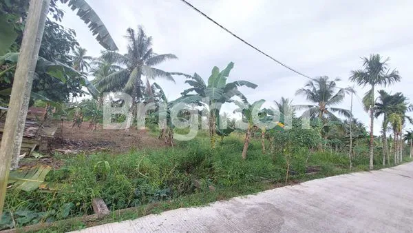 image TANAH LUAS DAN DATAR (4)