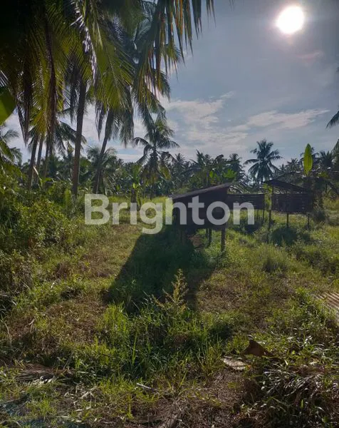 image TANAH LUAS DAN DATAR (5)