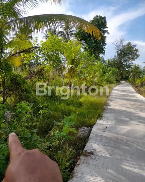 image TANAH LUAS DAN DATAR (2)