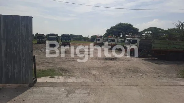 image TANAH SIAP BANGUN ,KONDISI TANAH SDH PADAT, DI RAYA TAMBAK BERAS, CERME, GRESIK (1)