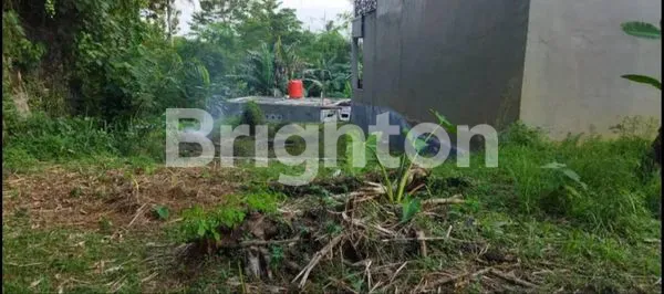 image RUMAH 2 LANTAI DAN TANAH LUAS, CANTIK NYAMAN IDAMAN KELUARGA, STRATEGIS (10)