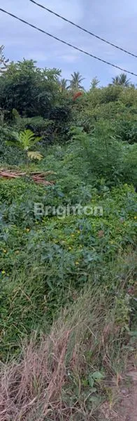 TANAH STRATEGIS DEKAT IKN