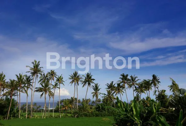 image FULL FURNISHED VILLA IN KETEWEL WITH OCEAN VIEW (5)