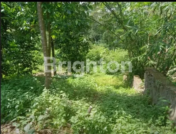 Gambar Property LAHAN UNTUK RESTO