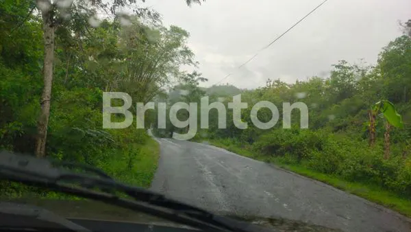 DIJUAL TANAH BISA UNTUK GUDANG DAN UNTUK RUK, TANAH NISA DIAMBIL URUGAANNYA. LOKASI DI TEPUS, GUNUNG KIDUL