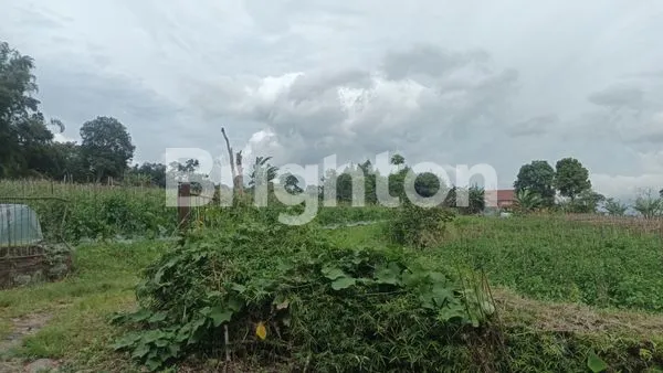 image TANAH BANDUNGAN (DEKET GREEN FALEY) (3)