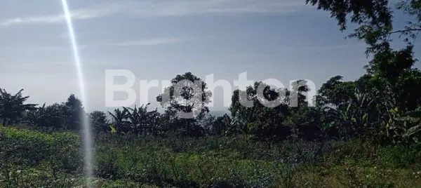 image TANAH BANDUNGAN (DEKET GREEN FALEY) (4)