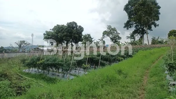 image TANAH BANDUNGAN (DEKET GREEN FALEY) (7)