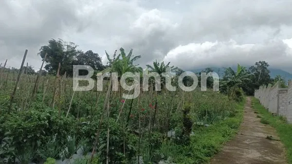 image TANAH BANDUNGAN (DEKET GREEN FALEY) (6)