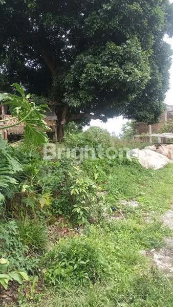 TANAH LUAS DEKAT SUSAN SPA