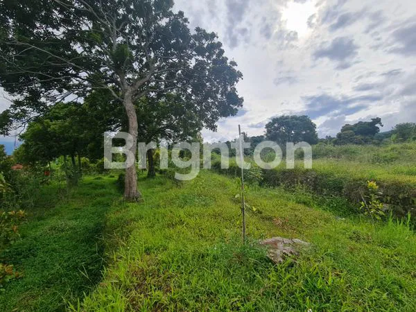 image TANAH LUAS DI JIMBARAN (2)