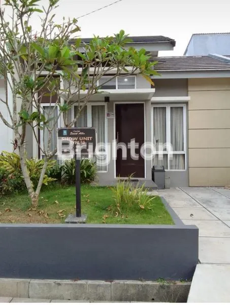 image HUNIAN HARVEST CITY TYPE SAKURA INDICA HARUMI (1)