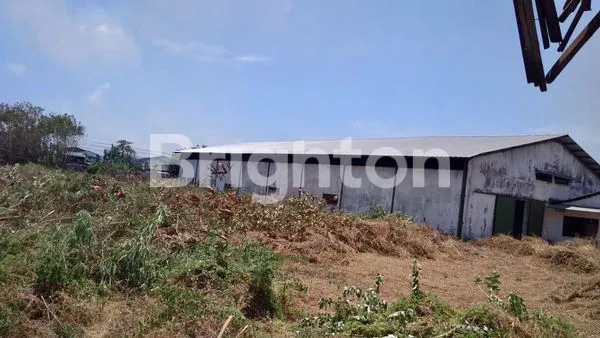 image TANAH BONUS GUDANG NGELOM MEGARE SIDOARJO (5)