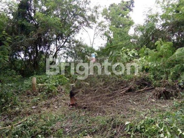 TURUN HARGA KAVLING SANGAT MURAH POSISI STRATEGIS CISAIT