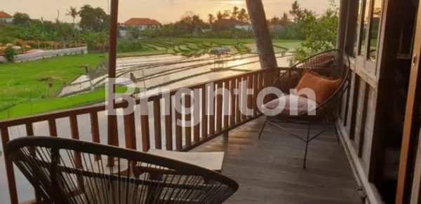 image VILLA DI CANGGU PEACEFUL PLACE DEKAT PANTAI BATU BOLONG (4)