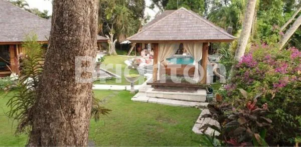 image VILLA DI CANGGU PEACEFUL PLACE DEKAT PANTAI BATU BOLONG (7)