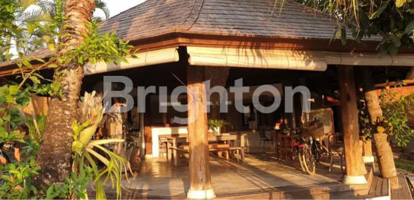 image VILLA DI CANGGU PEACEFUL PLACE DEKAT PANTAI BATU BOLONG (6)