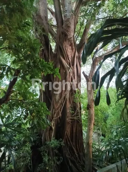 image KOMPLEK VILLA TAMANSARI KEROBOKAN (2)