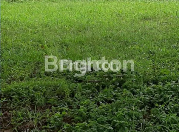 image KAVLING DIAN ISTANA (1)