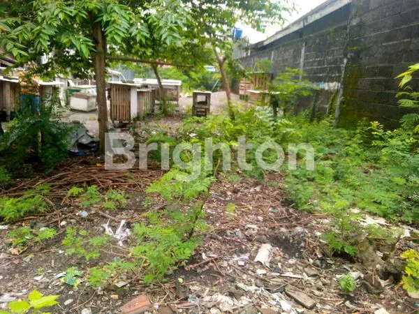 image TANAH BARAT MIROTA GODEAN (3)