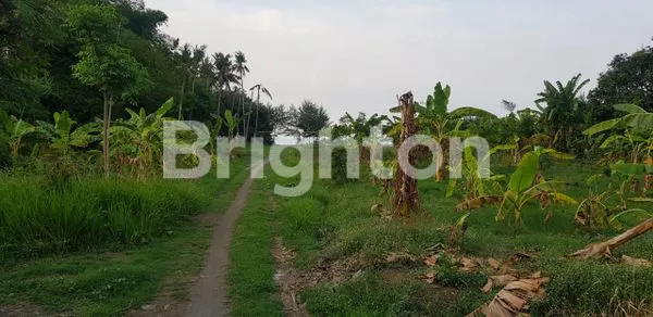 image TANAH LOKASI DI DEMANGHARJO WARUREJA TEGAL (2)