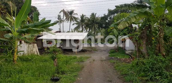 image TANAH LOKASI DI DEMANGHARJO WARUREJA TEGAL (3)