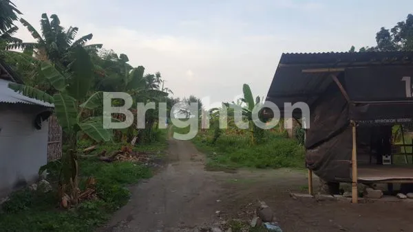 image TANAH LOKASI DI DEMANGHARJO WARUREJA TEGAL (4)