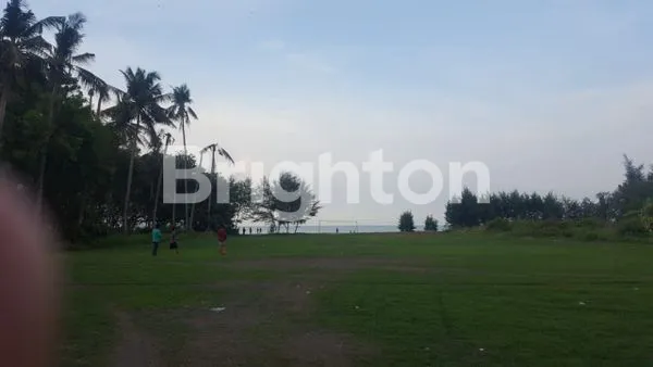 image TANAH LOKASI DI DEMANGHARJO WARUREJA TEGAL (5)