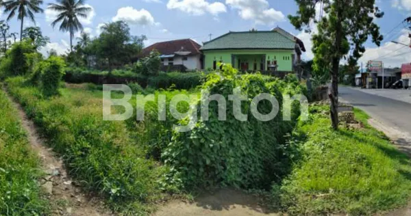 image DISEWAKAN TANAH 6 ARE DESA RANGDU SERIRIT BULELENG (2)