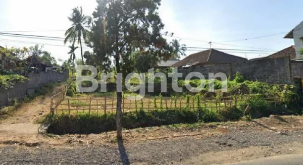 image DISEWAKAN TANAH 6 ARE DESA RANGDU SERIRIT BULELENG (3)