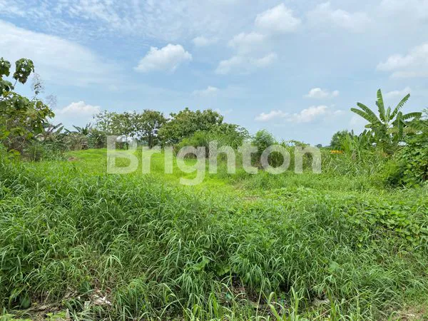 image KAVLING JALAN RAYA DRIYOREJO GRESIK DEKAT PINTU TOL DRIYOREJO (1)