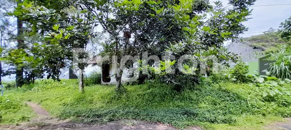 image TANAH AREA VILLA GUNUNG BURING DEKAT EXIT TOL SBY-MALANG (1)