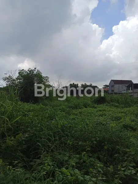 image JUAL TANAH, TENGGER, GRESIK (3)