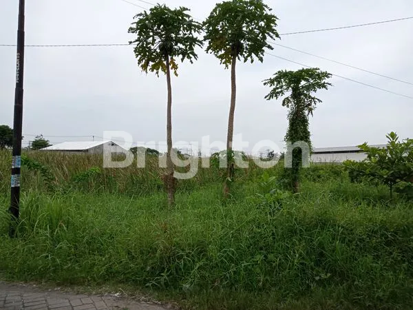 Gambar Property TANAH PLOT PERGUDANGAN & INDUSTRI JL LINGKAR TIMUR SIDOARJO,MASUK KAWASAN PERGUDANGAN LINGKAR TIMUR, PINGGIR JALAN, NOL JALAN RAYA