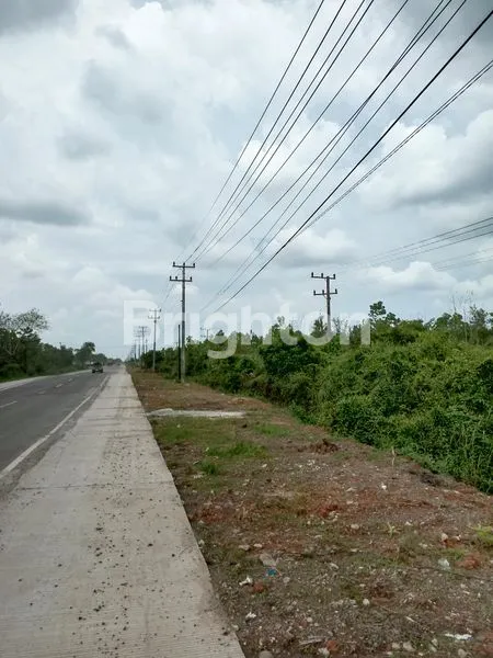 TANAH TANJUNG API-API