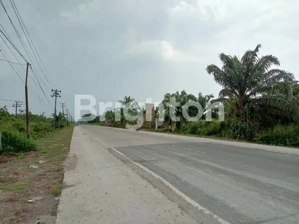 image TANAH TANJUNG API-API (2)