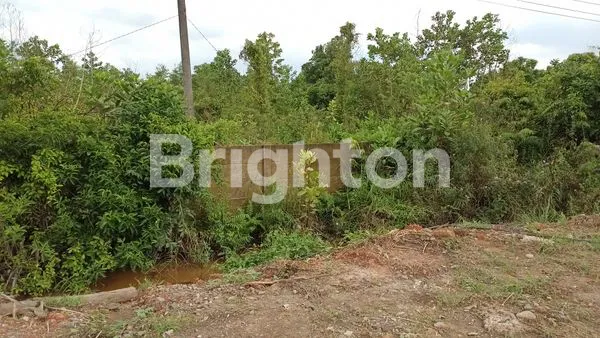 image TANAH TANJUNG API-API (3)