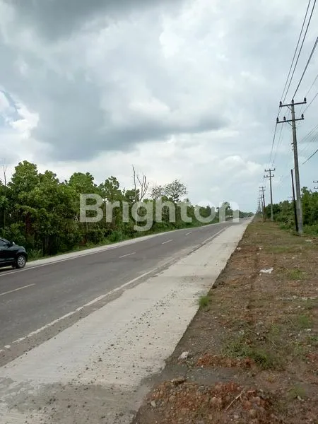 image TANAH TANJUNG API-API (4)