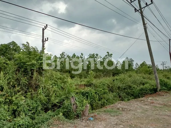 image TANAH TANJUNG API-API (8)