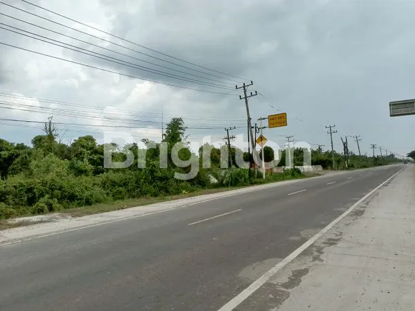 image TANAH TANJUNG API-API (6)