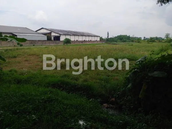 image TANAH MOJOSARI (2)