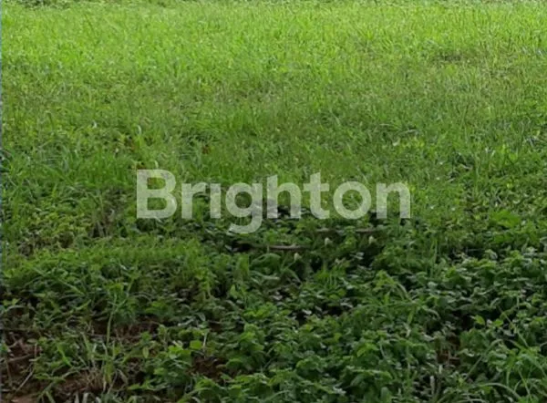 image KAVLING DI MUDING-GATOT SUBROTO (1)