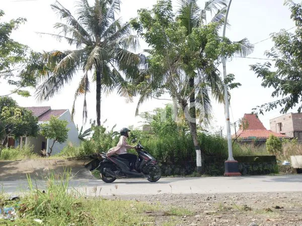 image TANAH SIAP BANGUN JALAN RAYA DEKAT WOLTER SEMARANG (4)