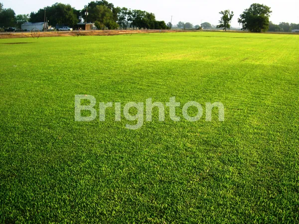 image TURUN HARGA .. TANAH SIAP BANGUN DEKAT SEKOLAH CITRA BERKAT, SUPERINDO (1)