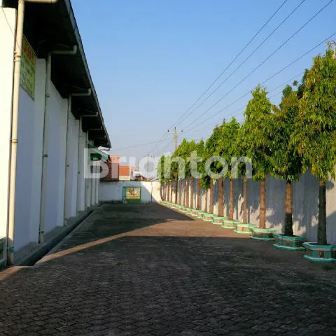 image GUDANG LUAS DI 0 JALAN, GRINTING , BREBES, JAWA TENGAH.(JALAN UTAMA DARI JAWA BARAT KE JAWA TENGAH) (4)