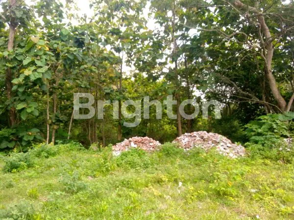 image TANAH DEKAT HOTEL SANTIKA (1)